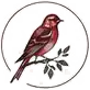 Box Icon 1